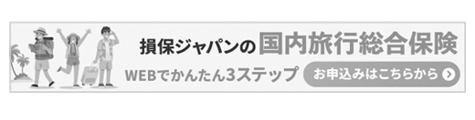 損保ジャパンの国内旅行総合保険